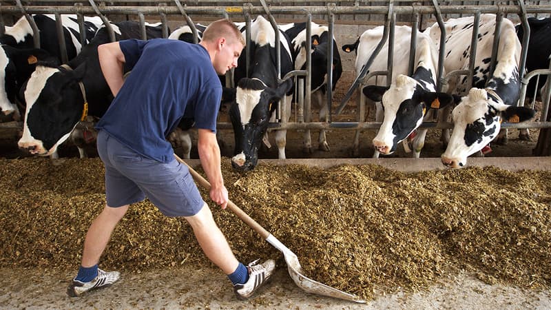 70% des jeunes agriculteurs qui se lancent dans le secteur sont des enfants d’agriculteurs (Photo d'illustration).