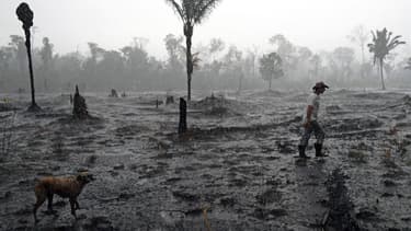 Paysage dévasté en Amazonie, le 26 août 2019