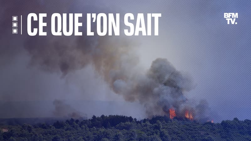 800 hectares brûlés, enquête ouverte: ce que l'on sait sur l'incendie dans l'Hérault
