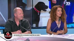 Les GG veulent savoir: Les Macron ont-ils eu raison d'adopter un chien ? - 29/08