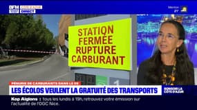 Pénurie de carburant:  "ce qui est important, c'est que les citoyens français puissent accéder à la pompe"
