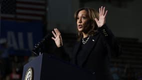 Kamala Harris à Allentown (Pennsylvanie) le 4 novembre 2024.