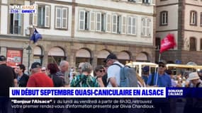 12°C au-dessus des normales: un début septembre quasi-caniculaire en Alsace