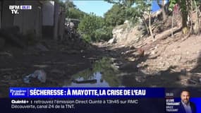 À cause de la sécheresse, Mayotte traverse une crise de l'eau sans précédent 