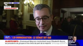 Gérald Darmanin sur le projet de loi immigration: "Ce qui m'intéresse, c'est d'appliquer le programme du président de la République et d'être à l'honneur de mes fonctions de ministre de l'Intérieur"