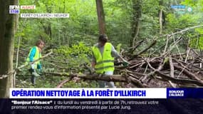 Bas-Rhin: opération nettoyage de la forêt d'Illkirch par des étudiants