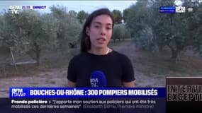 Bouches-du-Rhône : 300 pompiers mobilisés à Arles et Velaux - 25/07