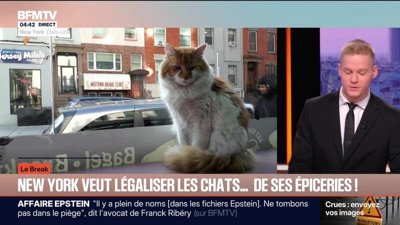 Le break du mercredi 11 février : actualités sportives, Epstein et IA en vedette
