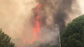 Énormes incendie de forêt à Istres - Témoins BFMTV