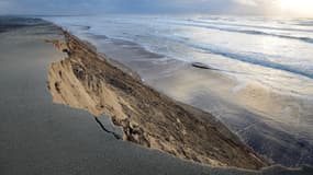 Des dunes sur la plage de Saint-Trojan-les-Bains, sur l'île d'Oléron, le 29 janvier 2014.