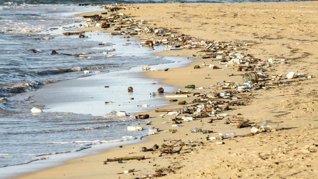 Plage jonchée de déchets. (illustration)