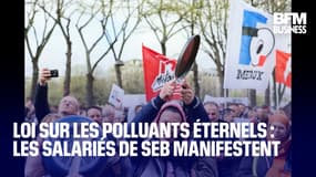  Loi sur les polluants éternels : les salariés de Seb manifestent 