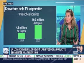 Isabelle Vignon (SNPTV) : Publicité segmentée, quel impact sur le marché publicitaire français ? - 27/12