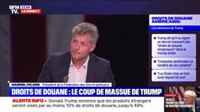 Droits de douane américains: "C'est désolant et néfaste, il n'y aura que des perdants", déplore Gabriel Picard, président de la Fédération des vins et spiritueux