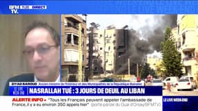 "Il faut remettre en place un état libanais central fort", affirme Ziyad Baroud, ancien ministre de l'Intérieur de la République libanaise
