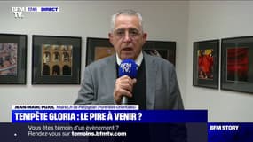 Tempête Gloria: le maire de Perpignan dit rester "vigilant sur les risques d'inondations"