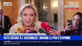 "J'appelle à la dissolution à peu près tous les jours depuis un certain nombre de semaines", souligne Marine Le Pen