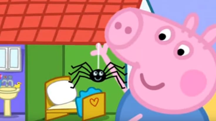 Dans l'épisode "Mr Skinny legs", Peppa Pig et son frère deviennent amis avec une araignée. 