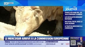 Le Mercosur arrive à la commission européenne