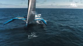 Route du Rhum : Drapeau blanc chez les Ultimes