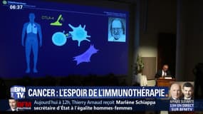 Cancer: l'espoir de l'immunothérapie