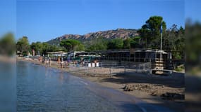 Un périmètre de sécurité a été établi autour du site de ponte d'une tortue sur la plage de la Baumette de Saint-Raphaël (Var), le dimanche 11 août 2024.