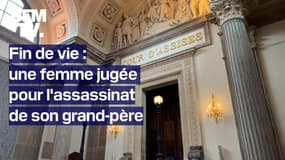 Fin de vie: à Lyon, une femme jugée pour l'assassinat de son grand-père 