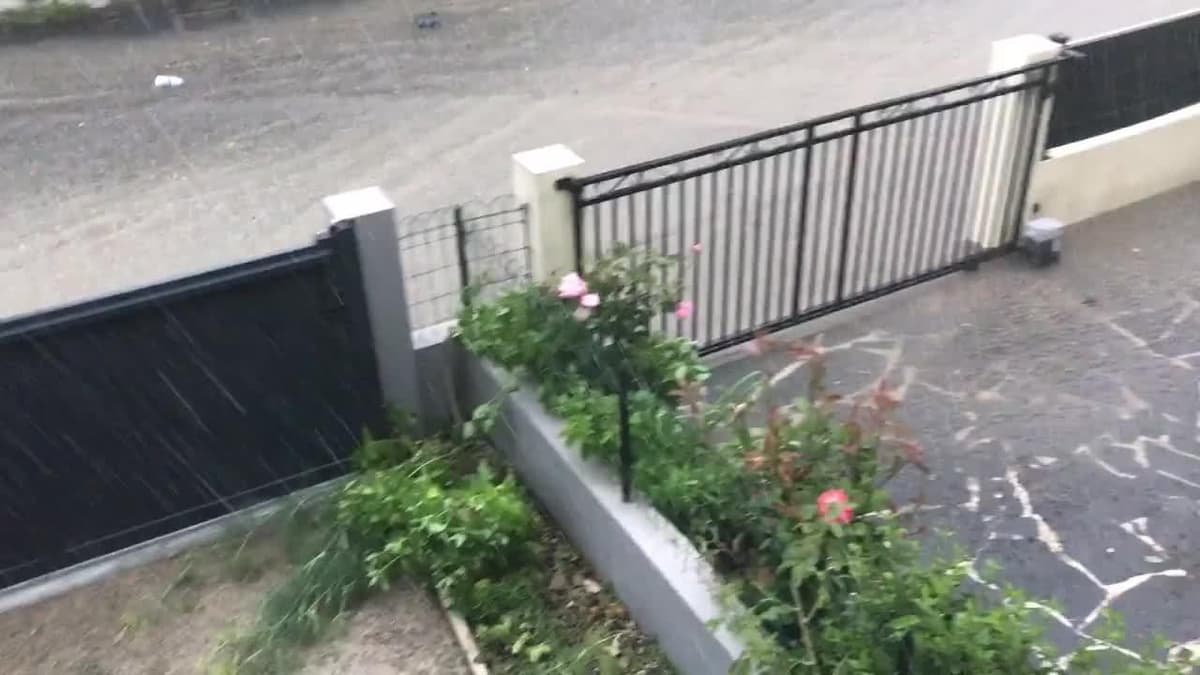 placeholder video