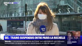 Gel: trains suspendus entre Paris-La Rochelle - 13/02