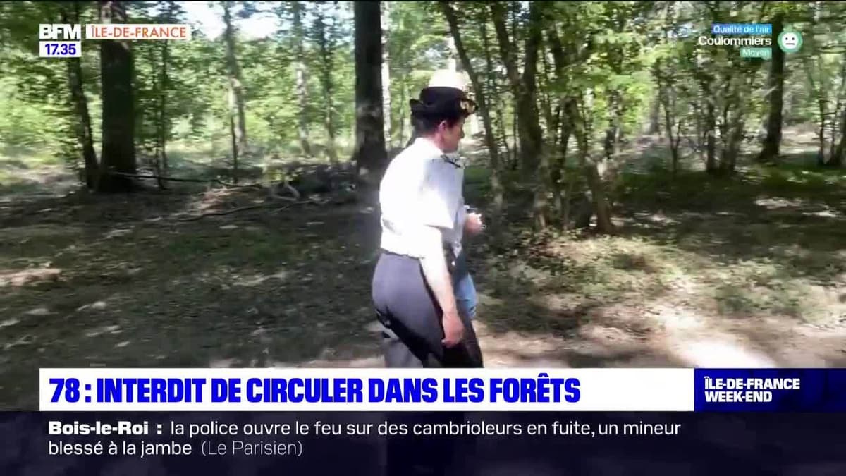 placeholder video