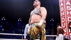 Andy Ruiz Jr