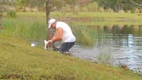En Floride, un Américain sauve son chiot des mâchoires d'un alligator