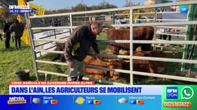 Crise agricole: les exploitants de l'Ain s'opposent à l'accord avec le Mercosur