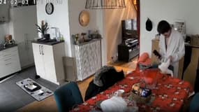 Le compagnon de la jeune femme a fait subir des sévices aux chats.