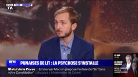 Punaises de lit: "La puissance publique doit s'emparer du problème", pour François Piquemal (LFI)