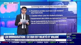 Loi immigration: ce qui est rejeté et validé