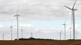 EDF a remporté l'appel d'offres pour le projet éolien de Doumat al Jandal, d'une capacité anticipée de 400 mégawatts. (Image d'illustration)