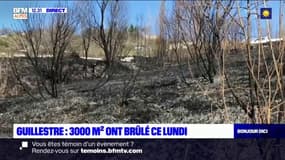 Hautes-Alpes: 3000 m² de végétation ont brulé lundi, des dizaines de pompiers mobilisés 