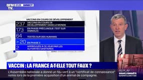 Pourquoi la recherche en France n'a pas réussi à trouver un vaccin contre le Covid-19 ?