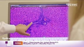 Covid-19 : ce que l'on sait sur le variant Omicron