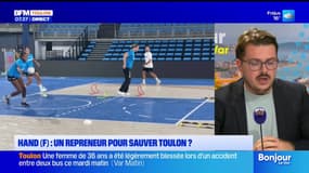 Un repreneur pour l'équipe féminine du Toulon Métropole Var Handball?