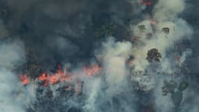 Vue aérienne des feux de forêt qui sévissent en Amazonie, ici dans l'Etat de Rondonia.