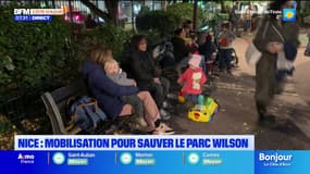 Mobilisation pour sauver le parc Wilson à Nice