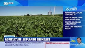 Agriculture: Bruxelles veut des mesures plus strictes pour les importations... au détriment des exportations?