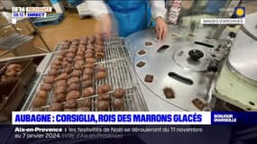 Aubagne: la fabrication des marrons glacés de la Maison Corsiglia