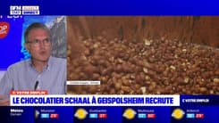 C votre emploi du mercredi 21 juin - Le chocolatier Schaal à Geispolsheim recrute 