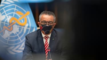 Le directeur général de l'OMS, Tedros Adhanom Ghebreyesus, le 5 octobre 2020 à Genève