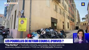 Marseille: la nouvelle réglementation sur le ramassage des déchets cours d'Estienne-d'Orves s'applique ce jeudi