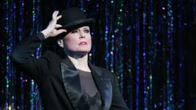 Ann Reinking en 2006