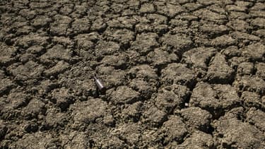 Il est "urgent" d'agir face au réchauffement climatique, qui est une catastrophe "de plus grande ampleur" que le Covid-19 et contre lequel il n'y a en plus pas de vaccin, a alerté la Croix-Rouge